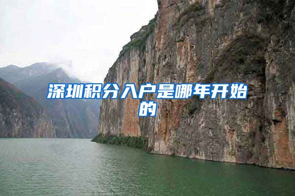 深圳积分入户是哪年开始的