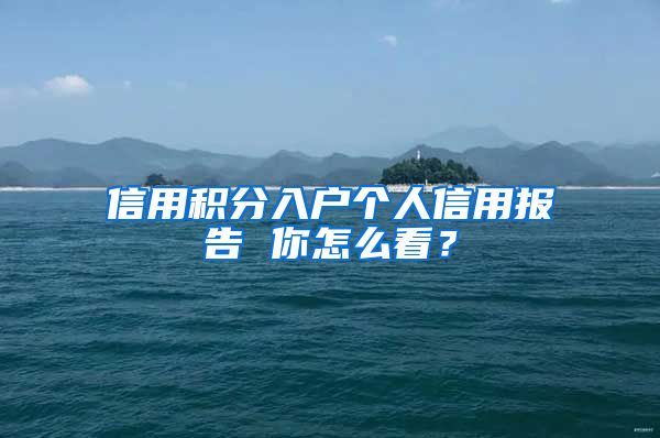 信用积分入户个人信用报告 你怎么看？