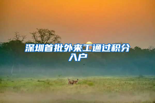 深圳首批外来工通过积分入户