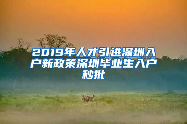 2019年人才引进深圳入户新政策深圳毕业生入户秒批