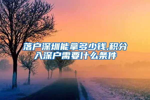 落户深圳能拿多少钱,积分入深户需要什么条件