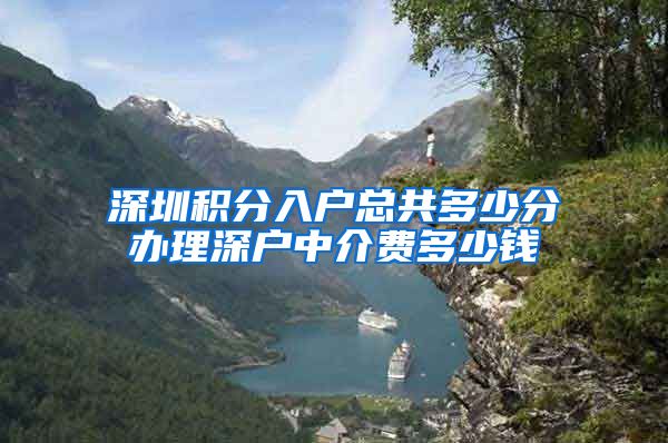 深圳积分入户总共多少分办理深户中介费多少钱