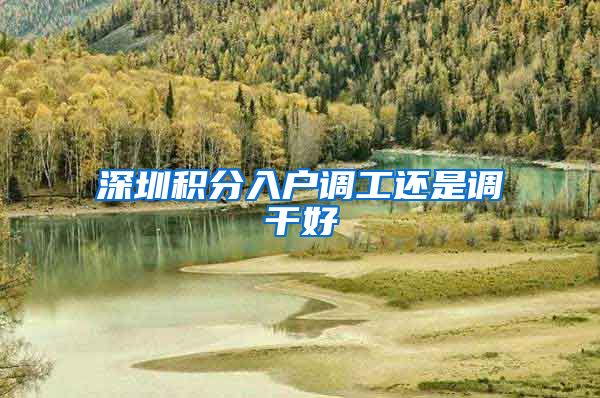 深圳积分入户调工还是调干好