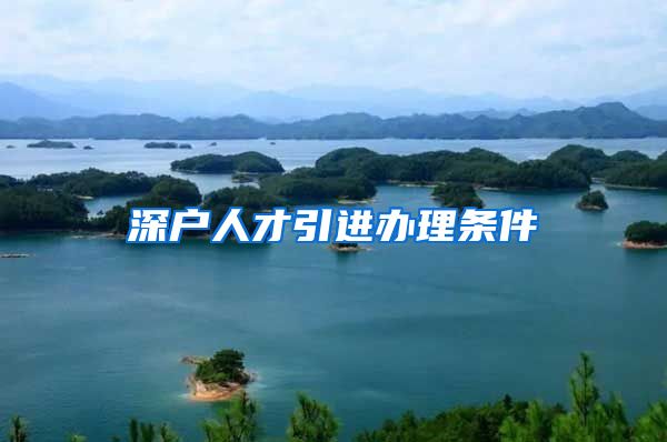 深户人才引进办理条件