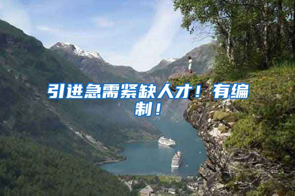引进急需紧缺人才！有编制！