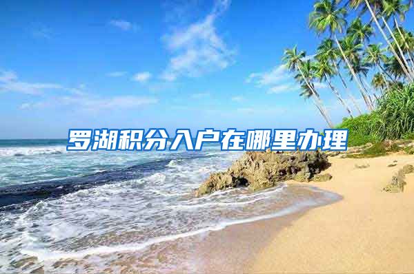 罗湖积分入户在哪里办理
