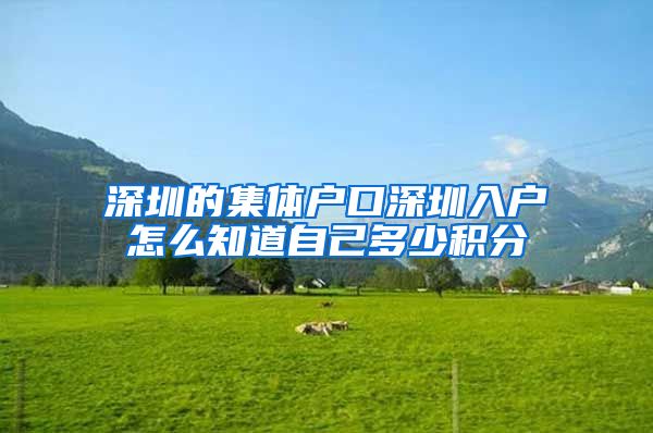 深圳的集体户口深圳入户怎么知道自己多少积分