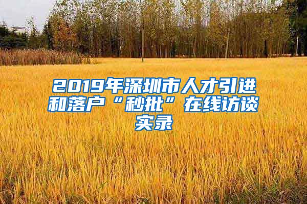 2019年深圳市人才引进和落户“秒批”在线访谈实录