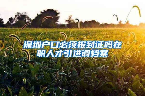 深圳户口必须报到证吗在职人才引进调档案