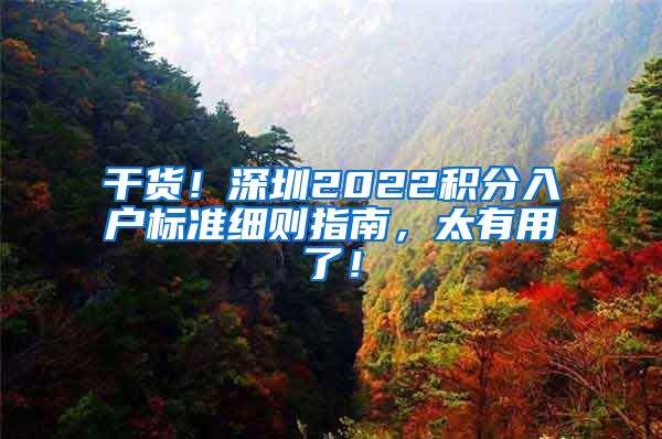 干货！深圳2022积分入户标准细则指南，太有用了！