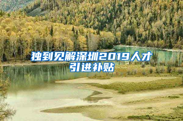 独到见解深圳2019人才引进补贴