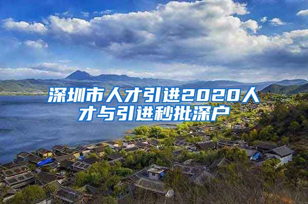 深圳市人才引进2020人才与引进秒批深户