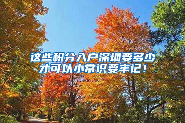 这些积分入户深圳要多少才可以小常识要牢记！
