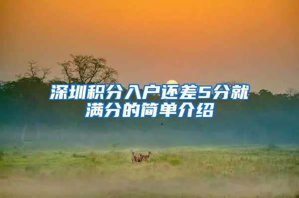 深圳积分入户还差5分就满分的简单介绍
