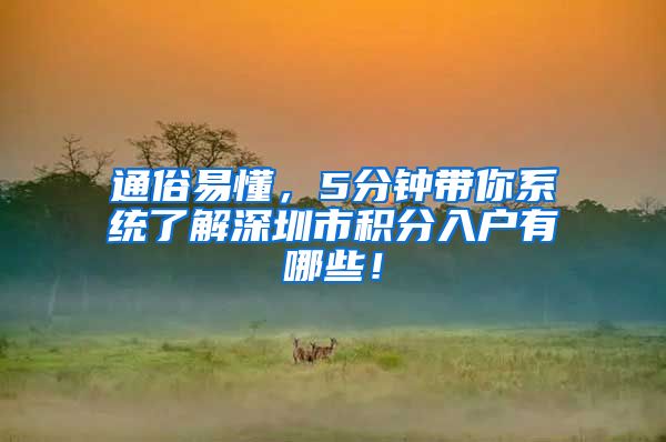 通俗易懂，5分钟带你系统了解深圳市积分入户有哪些！