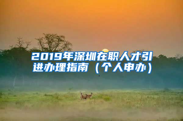 2019年深圳在职人才引进办理指南（个人申办）