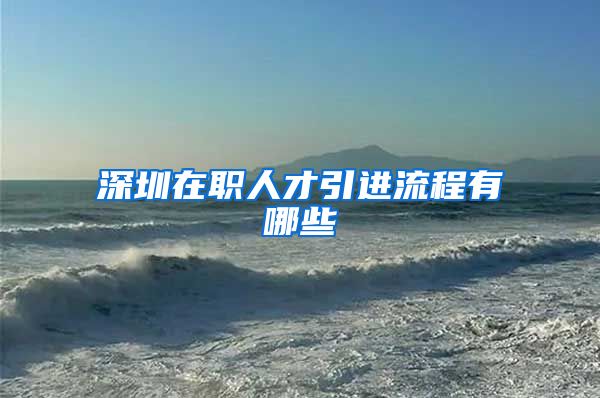深圳在职人才引进流程有哪些