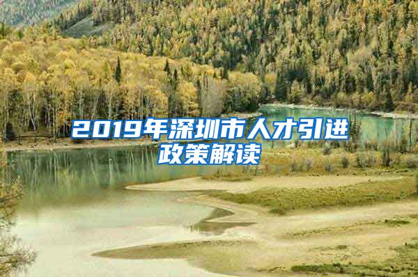2019年深圳市人才引进政策解读
