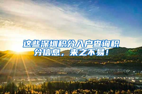 这些深圳积分入户查询积分信息，来之不易！