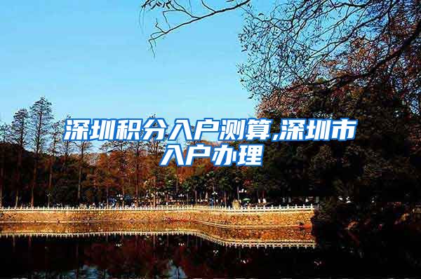 深圳积分入户测算,深圳市入户办理