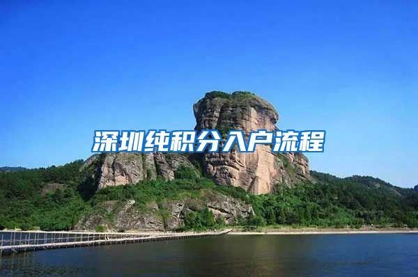 深圳纯积分入户流程