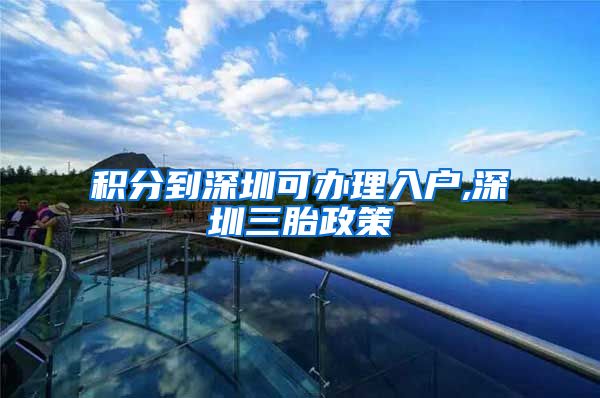 积分到深圳可办理入户,深圳三胎政策