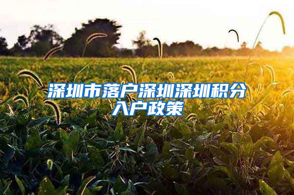 深圳市落户深圳深圳积分入户政策