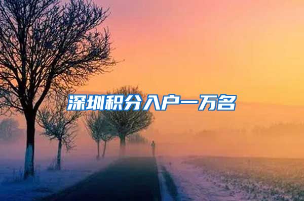 深圳积分入户一万名