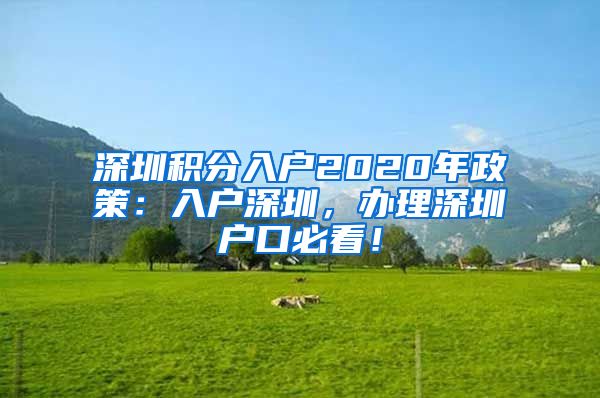 深圳积分入户2020年政策：入户深圳，办理深圳户口必看！