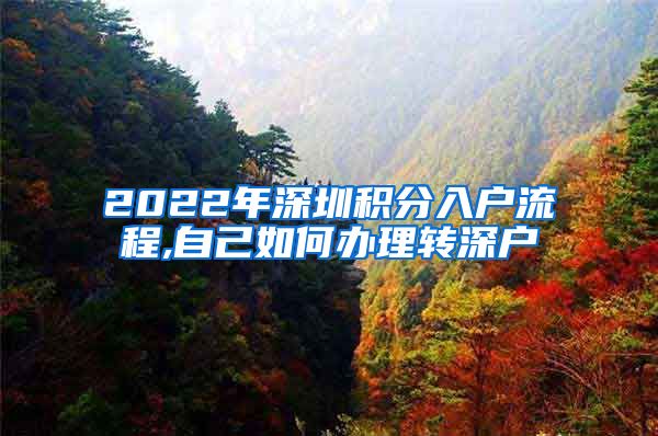 2022年深圳积分入户流程,自己如何办理转深户