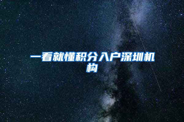 一看就懂积分入户深圳机构