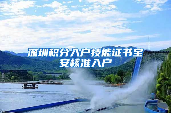 深圳积分入户技能证书宝安核准入户
