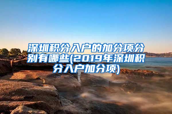 深圳积分入户的加分项分别有哪些(2019年深圳积分入户加分项)
