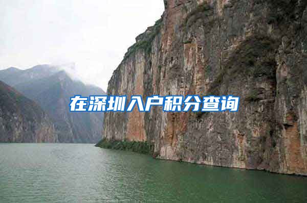 在深圳入户积分查询