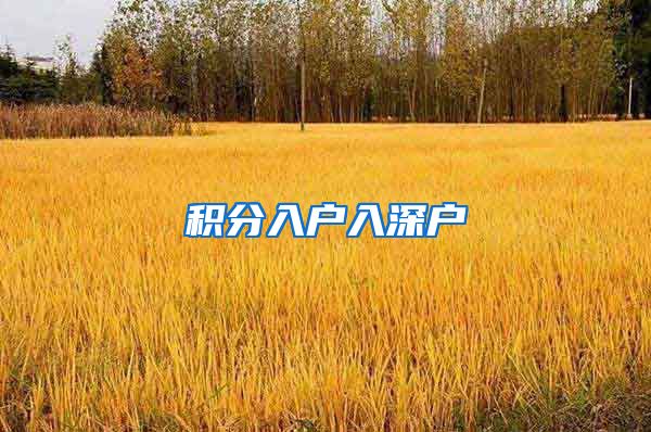积分入户入深户