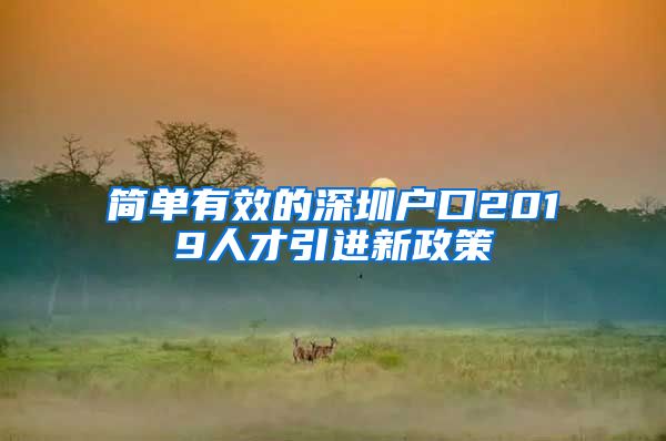 简单有效的深圳户口2019人才引进新政策