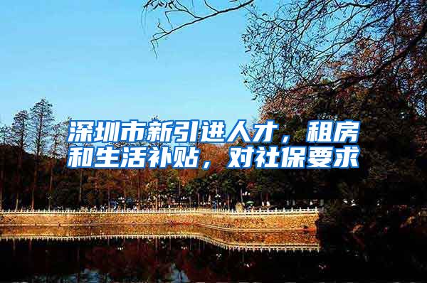 深圳市新引进人才，租房和生活补贴，对社保要求