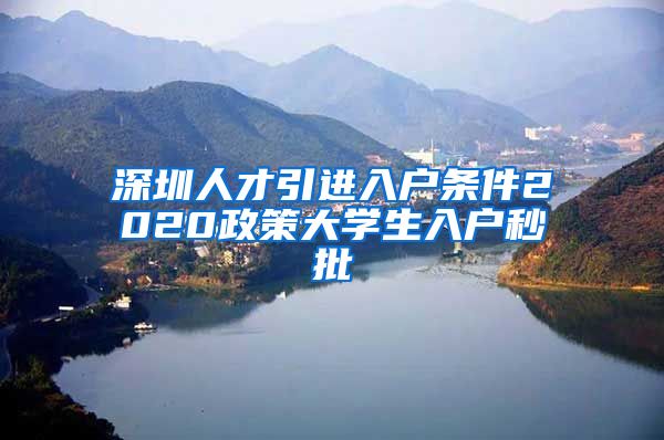 深圳人才引进入户条件2020政策大学生入户秒批