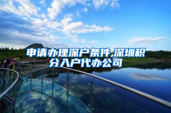 申请办理深户条件,深圳积分入户代办公司