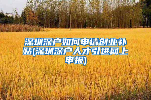 深圳深户如何申请创业补贴(深圳深户人才引进网上申报)