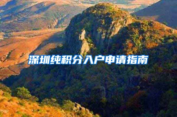深圳纯积分入户申请指南