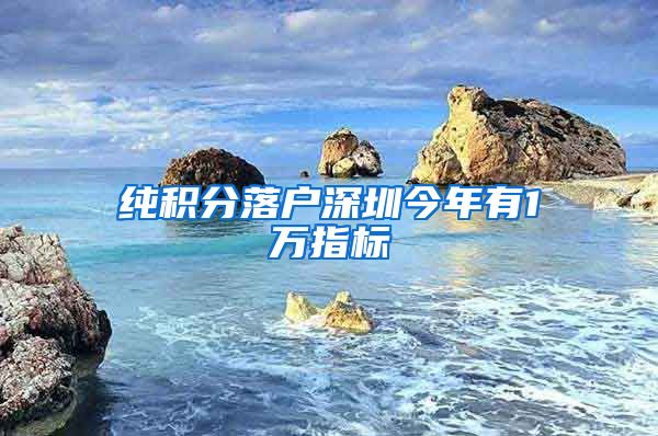纯积分落户深圳今年有1万指标
