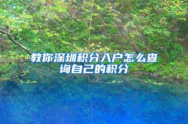 教你深圳积分入户怎么查询自己的积分