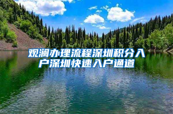 观澜办理流程深圳积分入户深圳快速入户通道