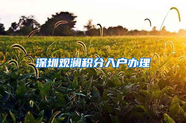 深圳观澜积分入户办理