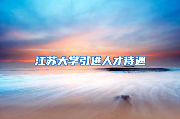 江苏大学引进人才待遇