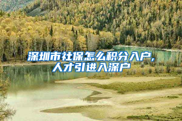 深圳市社保怎么积分入户,人才引进入深户