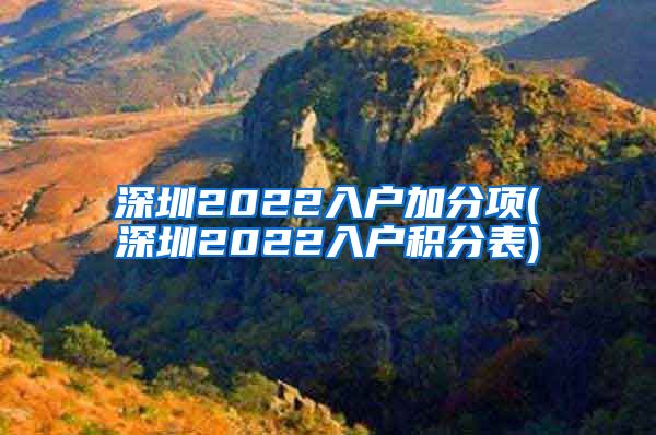 深圳2022入户加分项(深圳2022入户积分表)