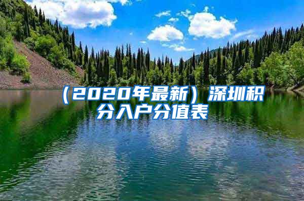 （2020年最新）深圳积分入户分值表