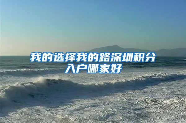 我的选择我的路深圳积分入户哪家好